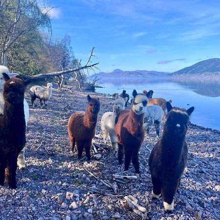 Dores Balachladaich Loch Ness B&B المظهر الخارجي الصورة